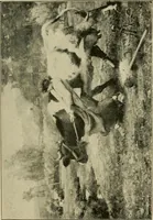 An illustration from Official catalogue of the fine arts exhibit, illustrated (1898)