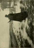 An illustration from Official catalogue of the fine arts exhibit, illustrated (1898)
