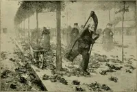 Picture 22 of 44 from Official catalogue of the fine arts exhibit, illustrated (1898), leaf 33