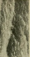 An illustration from Official catalogue of the fine arts exhibit, illustrated (1898)