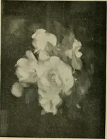 An illustration from Official catalogue of the fine arts exhibit, illustrated (1898)