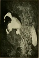 An illustration from Official catalogue of the fine arts exhibit, illustrated (1898)