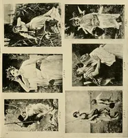 An illustration from Official catalogue and price lists on public and domestic art glass. (1897)