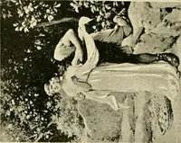 An illustration from Official catalogue and price lists on public and domestic art glass. (1897)