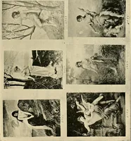 An illustration from Official catalogue and price lists on public and domestic art glass. (1897)