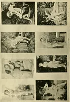 An illustration from Official catalogue and price lists on public and domestic art glass. (1897)