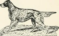 An illustration from Official exposition record and history of Masonry in the state of New York in connection with first annual fashion exposition for the benefit of Masonic hospital activities, May 8 to 13, 1922 (1922)