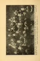 An illustration from The official football guide (1909)