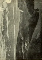 Picture 25 of 44 from Official illustrated catalogue, Fine arts exhibit, Hungary, St. Louis exposition, 1904 (1904), leaf 81