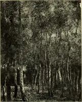Picture 32 of 44 from Official illustrated catalogue, Fine arts exhibit, Hungary, St. Louis exposition, 1904 (1904), leaf 88