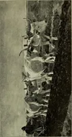 An illustration from Official illustrated catalogue, Fine arts exhibit, Hungary, St. Louis exposition, 1904 (1904)