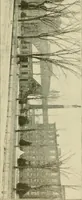 An illustration from Official manual and reference book of the National Loom Fixers Association of America : officers, constitution, by-laws, etc. (1903)