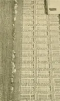 An illustration from Official manual and reference book of the National Loom Fixers Association of America : officers, constitution, by-laws, etc. (1903)