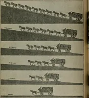 An illustration from Official volume of proceedings of the first New Zealand town-planning conference and exhibition. Wellington, 20th to 23rd May, 1919 .. (1919)