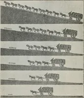 Picture 42 of 55 from Official volume of proceedings of the first New Zealand town-planning conference and exhibition. Wellington, 20th to 23rd May, 1919 .. (1919), leaf 219