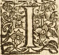 An illustration from Some drops of the viall powred out in a season when it is neither night nor day : or, Some discoveries of Jesus Christ his glory in severall books .. (1645)