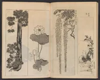 An illustration from Ogata-ryū hyakuzu (1889)