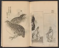 An illustration from Ogata-ryū hyakuzu (1889)