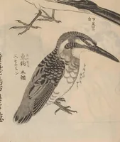 An illustration from Ogata-ryū hyakuzu (1889)