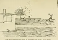Picture 1 of 14 from O genio e o talento na pathologia; esboço crítico (1911), leaf 42