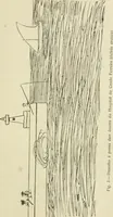 An illustration from O genio e o talento na pathologia; esboço crítico (1911)