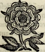 Picture 19 of 38 from O Godfredo, ou, Hierusalem libertada : poema heroyco (1682), leaf 340