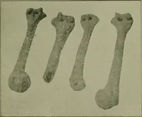 An illustration from Ohio archæological and historical publications (1887)