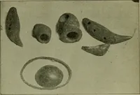 An illustration from Ohio archæological and historical publications (1887)