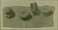 An illustration from Ohio archæological and historical publications (1887)