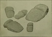 An illustration from Ohio archæological and historical publications (1887)