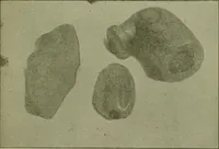 An illustration from Ohio archæological and historical publications (1887)