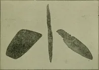 An illustration from Ohio archæological and historical publications (1887)