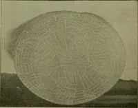 An illustration from Ohio archæological and historical publications (1887)