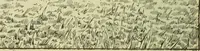 An illustration from Ohio archæological and historical publications (1887)