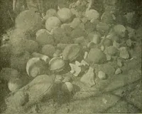 An illustration from Ohio archæological and historical publications (1887)