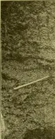 An illustration from Ohio archæological and historical publications (1887)