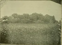 An illustration from Ohio archæological and historical publications (1887)