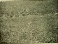 An illustration from Ohio archæological and historical publications (1887)