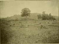 An illustration from Ohio archæological and historical publications (1887)