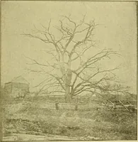 An illustration from Ohio archæological and historical publications (1887)
