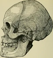 An illustration from Ohio archæological and historical publications (1887)