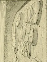 An illustration from Ohio archæological and historical publications (1887)