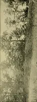 An illustration from Ohio archæological and historical publications (1887)