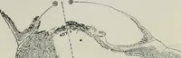 An illustration from Ohio archæological and historical publications (1887)