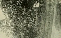 An illustration from Ohio archæological and historical publications (1887)