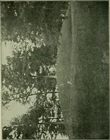 An illustration from Ohio archæological and historical publications (1887)