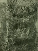 An illustration from Ohio archæological and historical publications (1887)