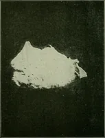 An illustration from Ohio archæological and historical publications (1887)