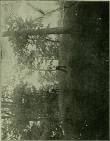 An illustration from Ohio archæological and historical publications (1887)