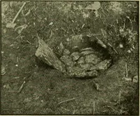 An illustration from Ohio archæological and historical publications (1887)